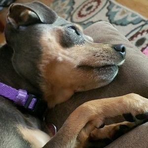 Meet your Posher, Crystal